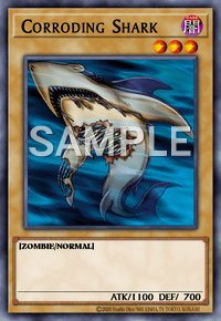 Corroding Shark