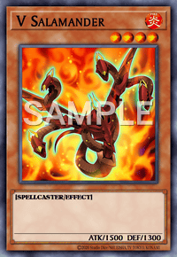 V Salamander