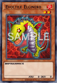 Evoltile Elginero