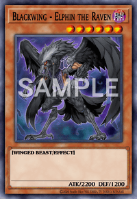 Blackwing - Elphin the Raven