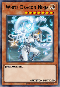 White Dragon Ninja