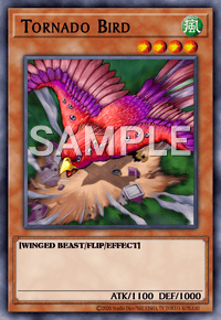 Tornado Bird