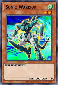 Sonic Warrior
