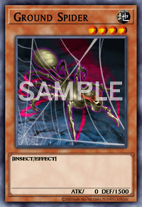 Ground Spider