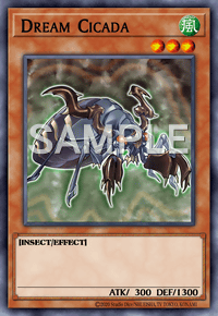 Dream Cicada