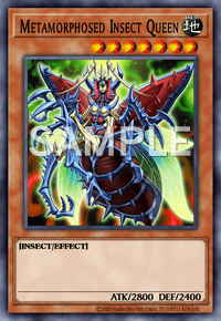 Metamorphosed Insect Queen