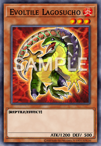 Evoltile Lagosucho