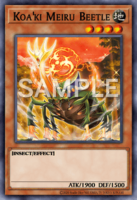 Koa'ki Meiru Beetle