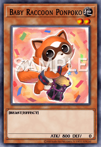 Baby Raccoon Ponpoko