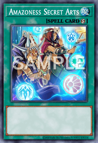 Amazoness Secret Arts