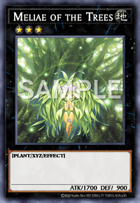 Meliae of the Trees