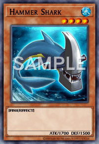 Hammer Shark