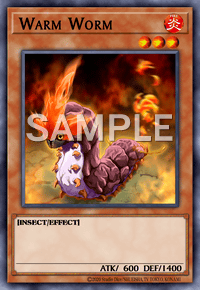 Warm Worm