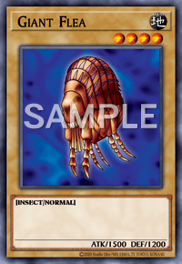 Giant Flea