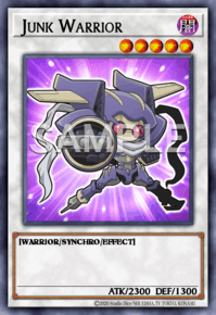 Junk Warrior