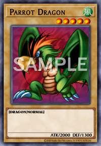 Parrot Dragon