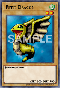 Petit Dragon