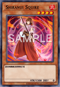 Shiranui Squire