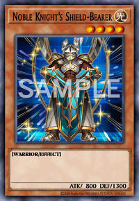 Noble Knight's Shield-Bearer