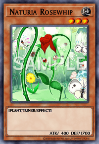 Naturia Rosewhip