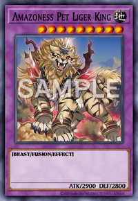 Amazoness Pet Liger King