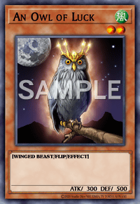 An Owl of Luck