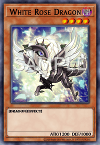 White Rose Dragon